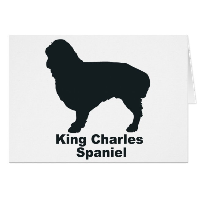 King Charles Spaniel (Voorkant Horizontaal)
