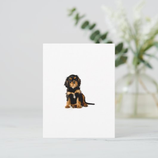 King Charles Spaniel Black & Tan Briefkaart (Staand voorkant)