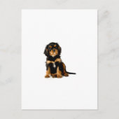 King Charles Spaniel Black & Tan Briefkaart (Voorkant)