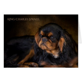 King Charles Spaniel Blank Wenskaart