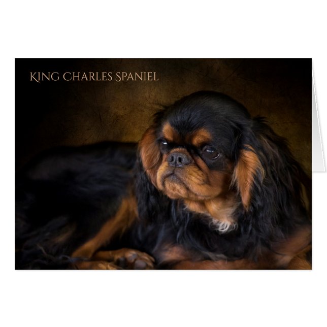 King Charles Spaniel Blank Wenskaart (Voorkant Horizontaal)