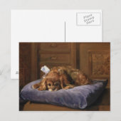 King Charles Spaniel Briefkaart (Voorkant / Achterkant)