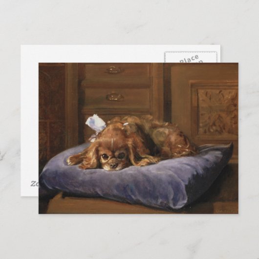 King Charles Spaniel Briefkaart (Voorkant / Achterkant)