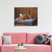 King Charles Spaniel Canvas Afdruk (Insitu (Woonkamer))