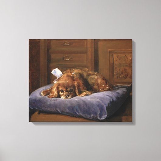 King Charles Spaniel Canvas Afdruk (Voorkant)