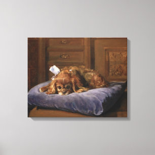 King Charles Spaniel Canvas Afdruk