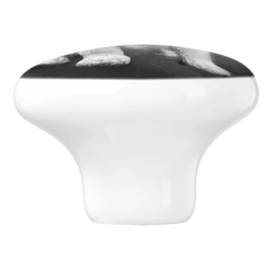 King Charles Spaniel cavalier puppy Keramische Knop (Zijkant)