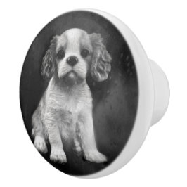 King Charles Spaniel cavalier puppy Keramische Knop