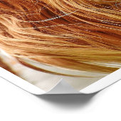 King Charles Spaniel Face Poster (Hoek)