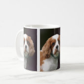King Charles Spaniel Mok (Voorkant links)