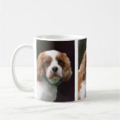 King Charles Spaniel Mok (Links)