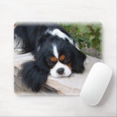 King Charles Spaniel Muismat (Met muis)