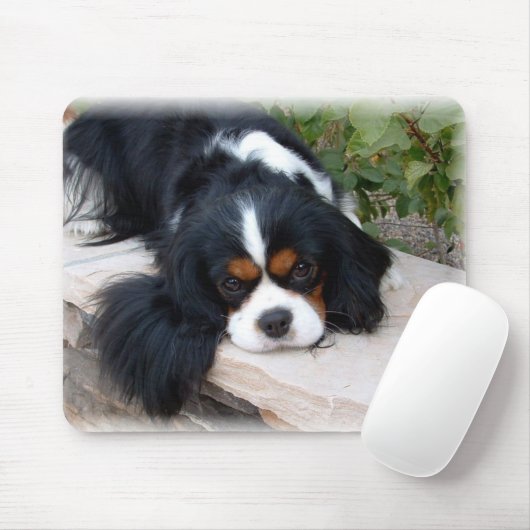 King Charles Spaniel Muismat (Met muis)