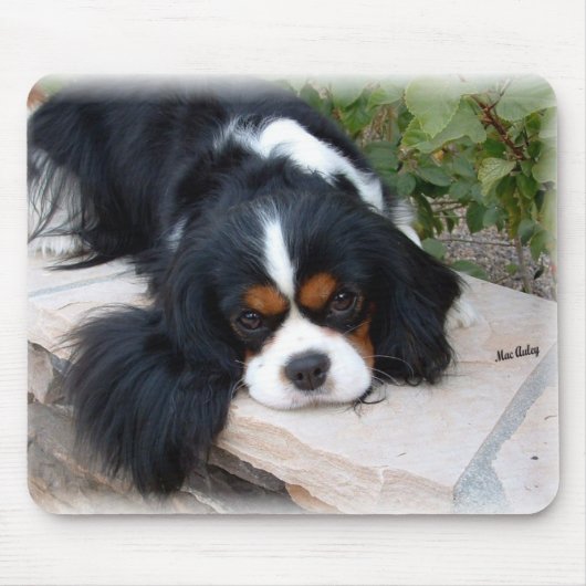 King Charles Spaniel Muismat (Voorkant)
