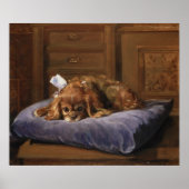 King Charles Spaniel Poster (Voorkant)