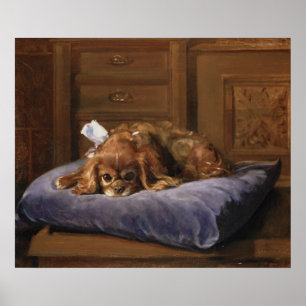King Charles Spaniel Poster