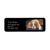 king Charles spaniel  Return Address Labels (Voorkant)