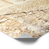 King Darius I. Bas relief, Persepolis, Iran Poster (Hoek)