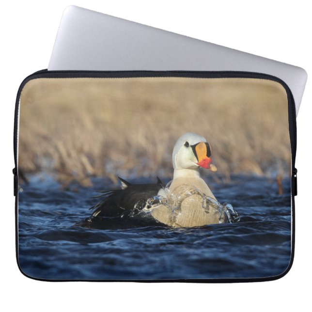 King Eider Bird Laptop Sleeve (Voorkant)