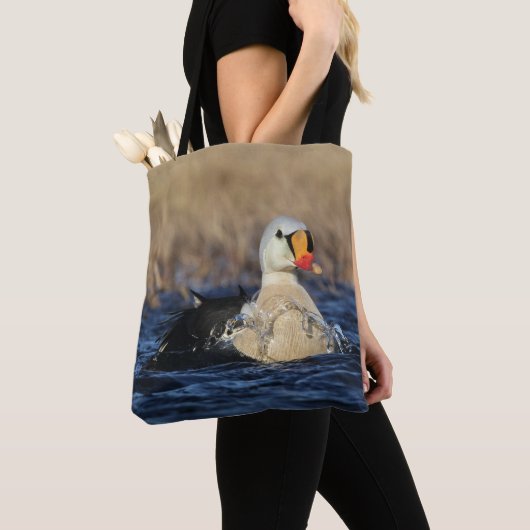 King Eider Tas (Dichtbij)