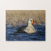 King Eider Vogelpuzzel Legpuzzel (Horizontaal)