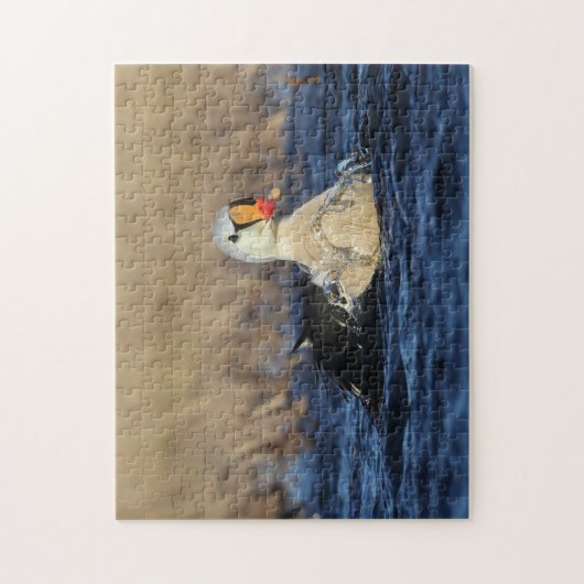 King Eider Vogelpuzzel Legpuzzel (Verticaal)