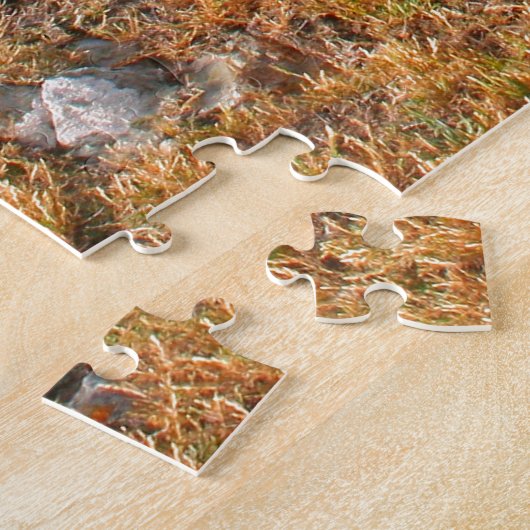 King Island: Windswept bay, Tasmania, Australië Legpuzzel (Zijkant)