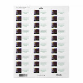 King Lion en Cubs Etiket (Full Sheet)