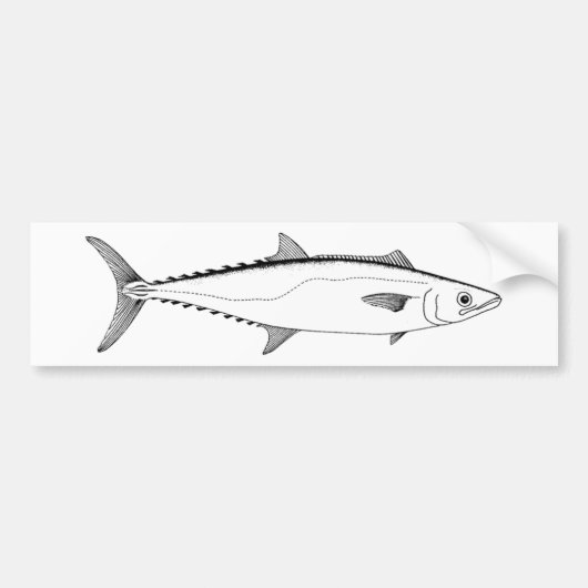 King Mackerel Line Art Bumpersticker (Voorkant)