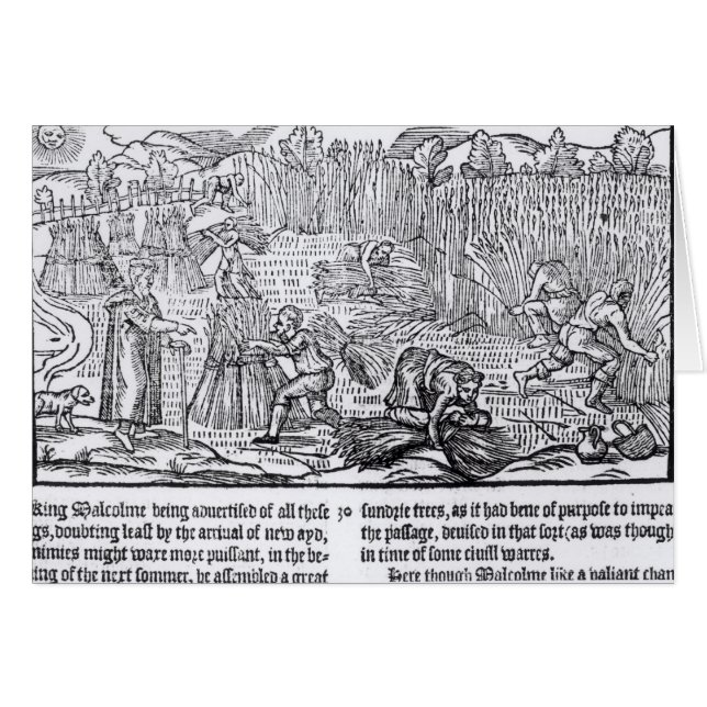 King Malcolm of Scotland (Voorkant Horizontaal)