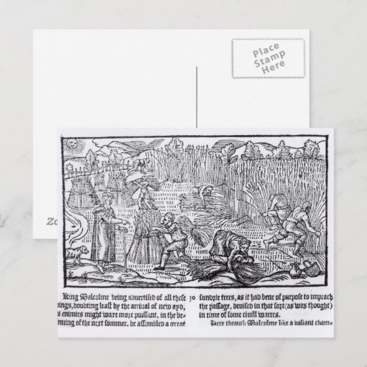 King Malcolm of Scotland Briefkaart (Voorkant / Achterkant)