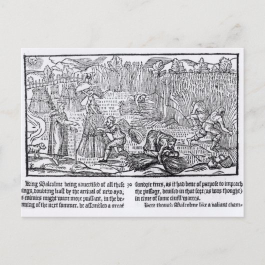 King Malcolm of Scotland Briefkaart (Voorkant)