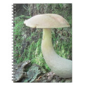 King Mushroom Notitieboek (Voorkant)
