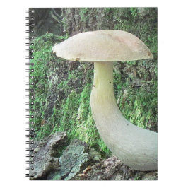 King Mushroom Notitieboek
