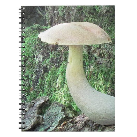 King Mushroom Notitieboek (Voorkant)