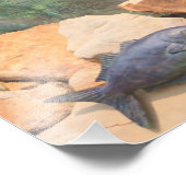 King Neptune door Shirley Taylor Foto Afdruk (Hoek)