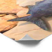 King Neptune door Shirley Taylor Poster (Hoek)