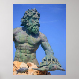 King Neptune door Shirley Taylor Poster