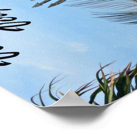 King Neptune Park, Virginia Beach, VA Poster (Hoek)