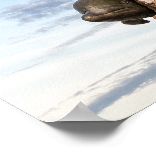 King Neptune Poster (Hoek)