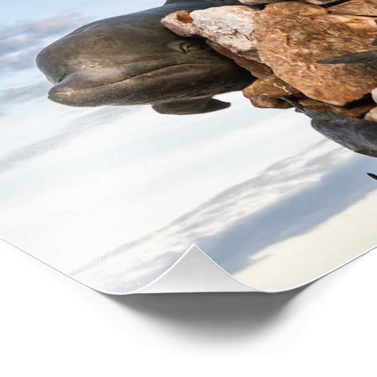 King Neptune Statue Foto Afdruk (Hoek)