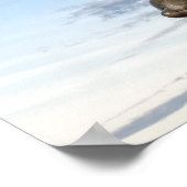 King Neptune Statue Poster (Hoek)