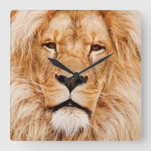 King of the Beasts Square Wall Clock Vierkante Klok (Voorkant)