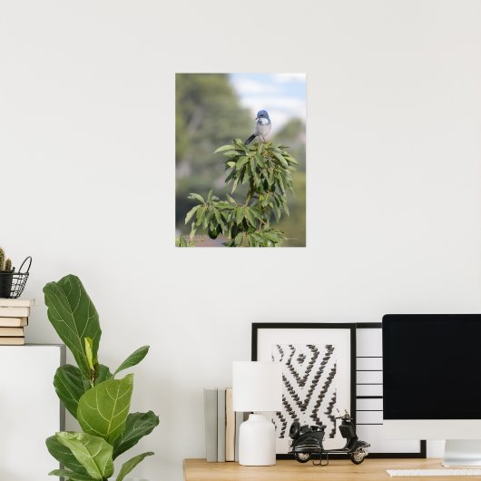 King of the Hill Poster (Thuiskantoor)