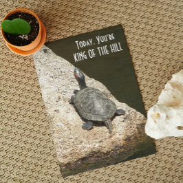 King of the Hill Turtle op Rock Natuur Verjaardag Kaart