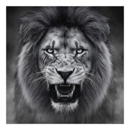 King of the Jungle Foto Afdruk