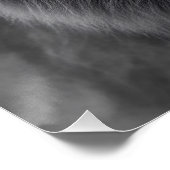 King of the Jungle Perfect Poster (Hoek)