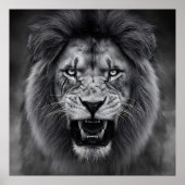 King of the Jungle Poster (Voorkant)