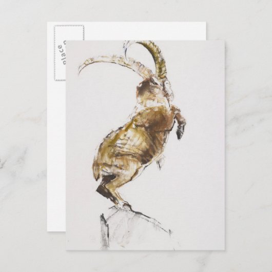 King of the Mountain 2005 Briefkaart (Voorkant / Achterkant)