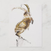 King of the Mountain 2005 Briefkaart (Voorkant)